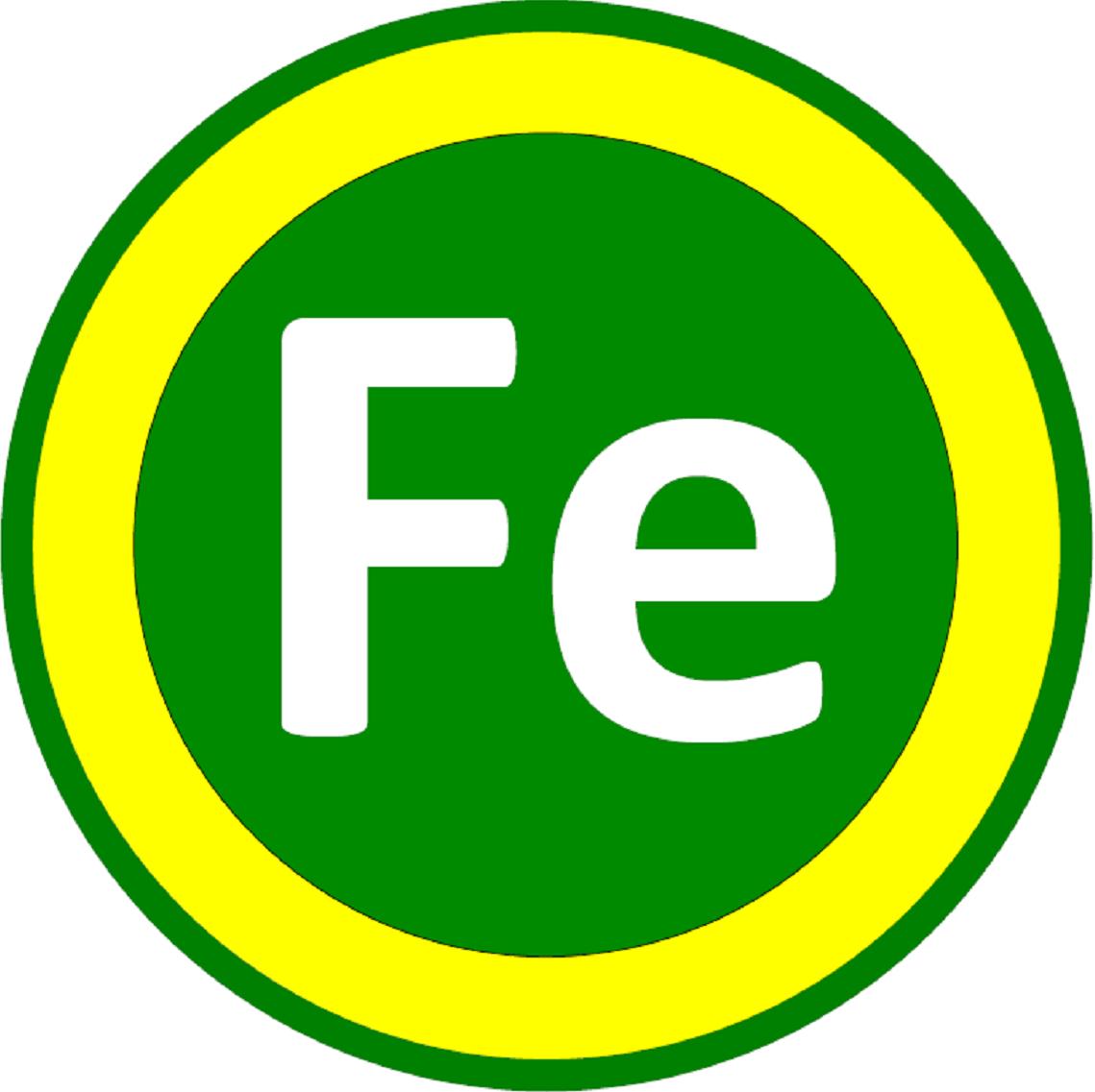 FE